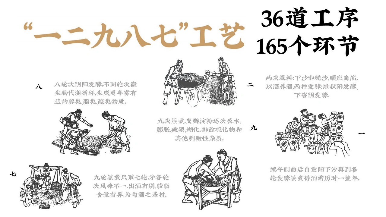 酱香白酒-包装插画-品牌vi