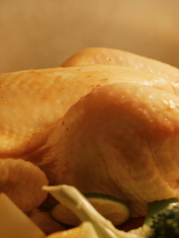 小家电视频|SUPOR苏泊尔空气炸锅 X BOYA视觉创作