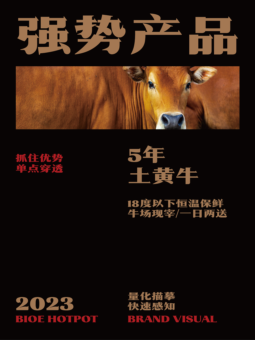 巴邑火锅品牌视觉形象升级