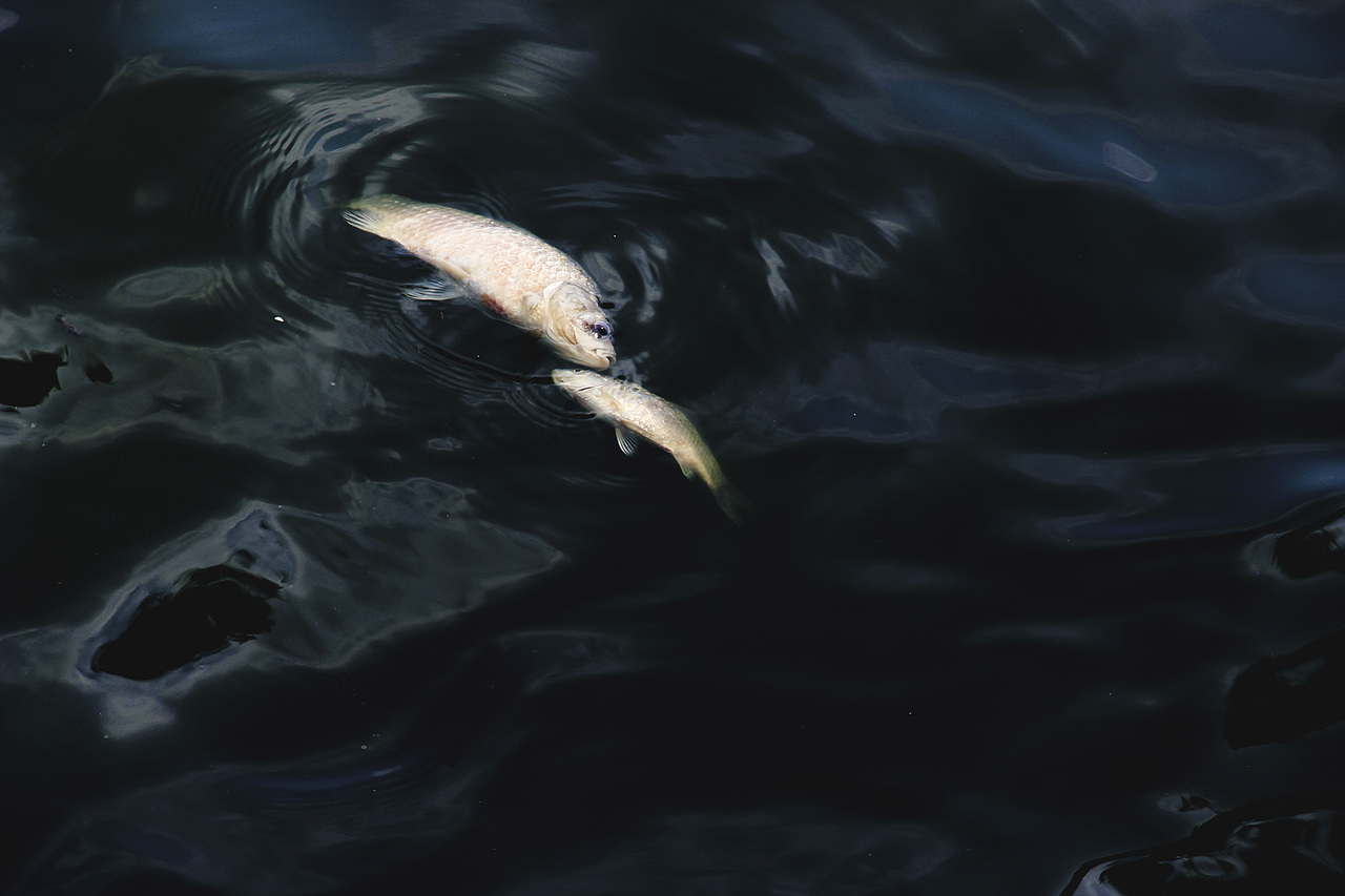 2022，好像拍了，又好像没拍...（图ZMzI1MTc5NTY0） - 其他摄影 - 站酷设计师诗云品牌原创素材 - 站酷ZCOOL