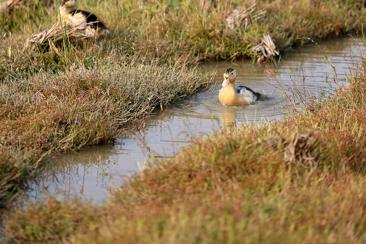 仙姑风景区随记（图ZMzMzMzM3MjA4） - 风光摄影 - 站酷设计师愚者猫叔原创素材 - 站酷ZCOOL