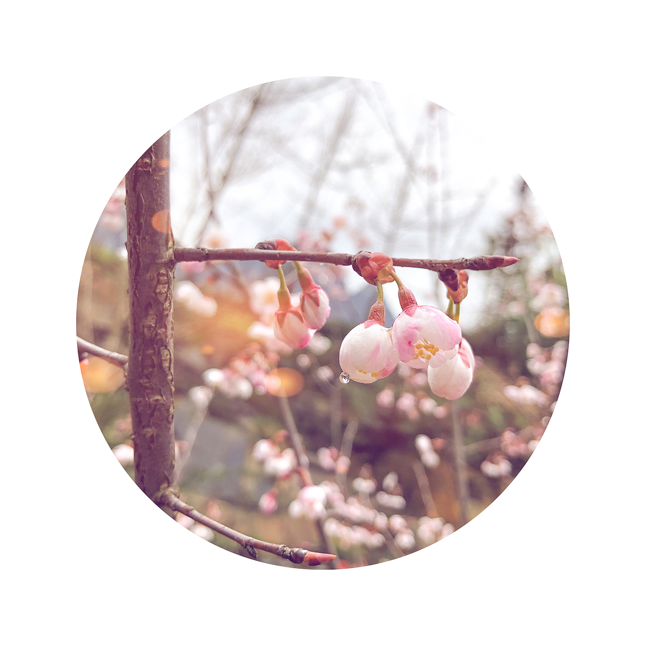 风光摄影学习（图ZMzU3MjEwMTMy） - 风光摄影 - 站酷设计师vipmlc97原创素材 - 站酷ZCOOL