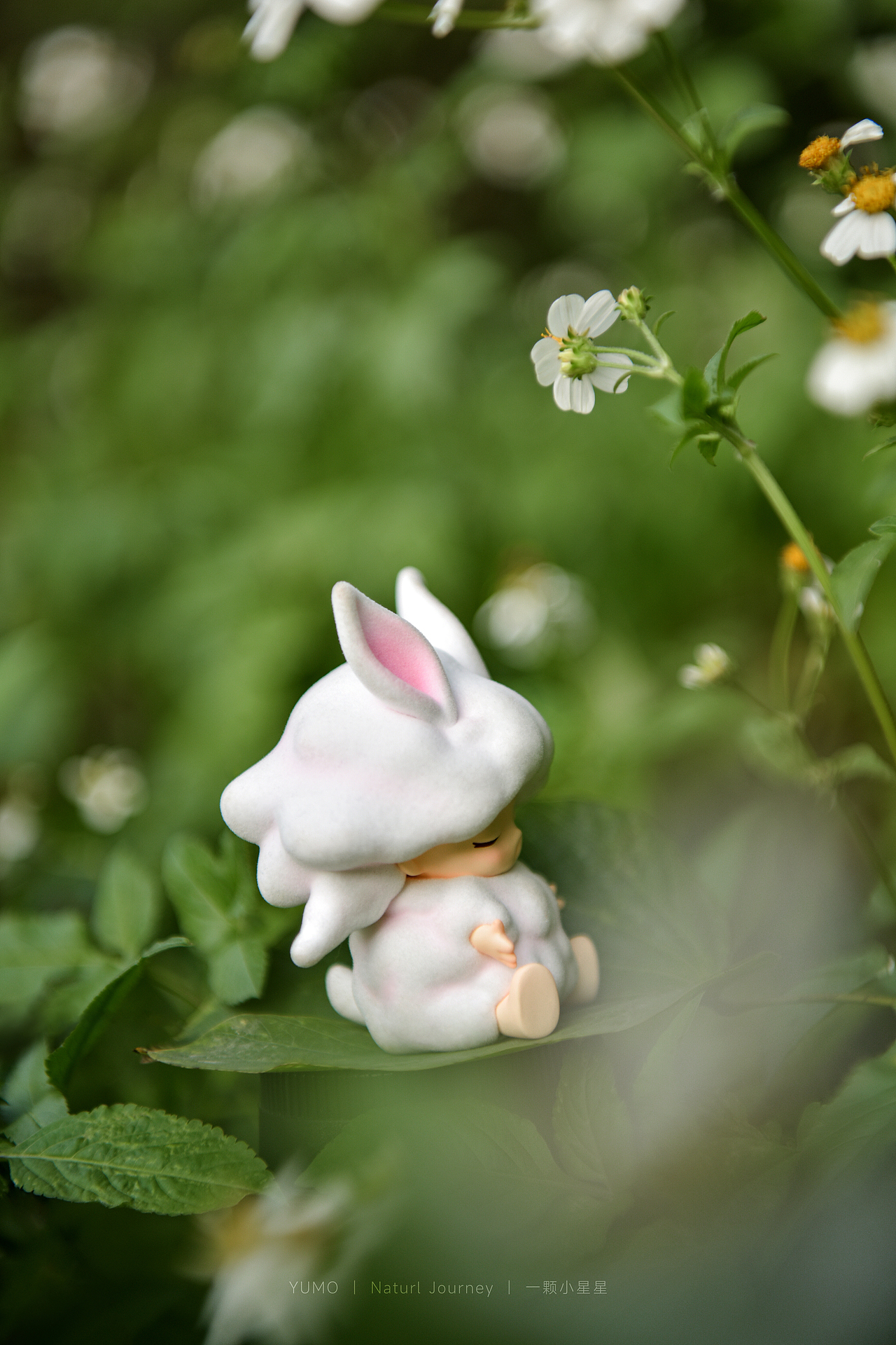 YUMO自然奇旅|顺耳兔