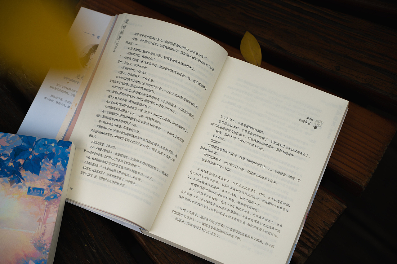 《重返盛夏·完结篇》小说设计