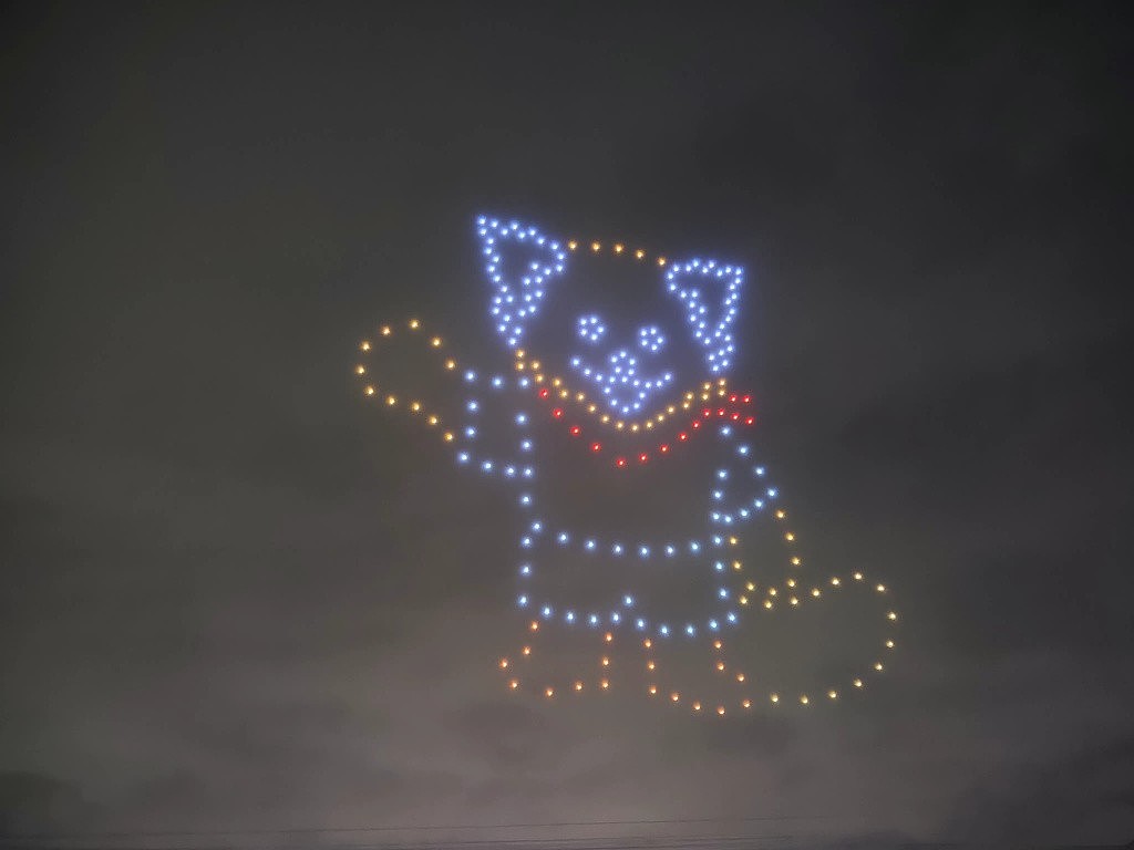 南通野生动物园 · 无人机表演