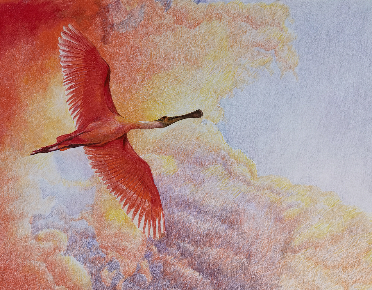 彩铅练习—可爱小鸟 尺寸不大（图ZMzAwNzg0NzA0） - 绘画 - 站酷设计师两只小木鱼原创素材 - 站酷ZCOOL