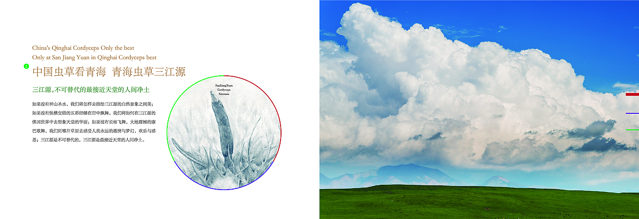 冬虫夏草产品手册排版