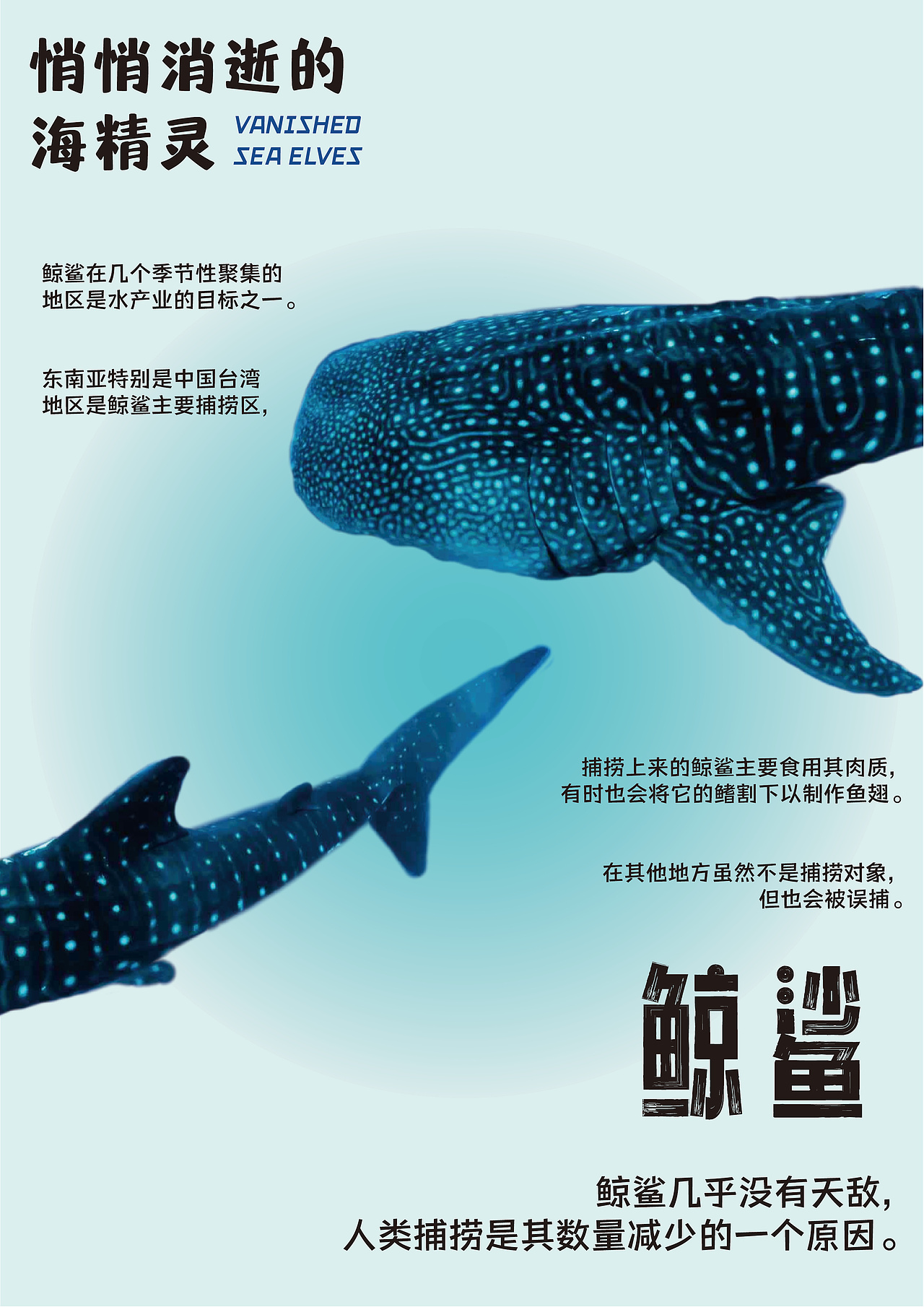 海洋生物海报设计（图ZMzUwNDA4MDUy） - 海报 - 站酷设计师亚克力小雪饼原创素材 - 站酷ZCOOL
