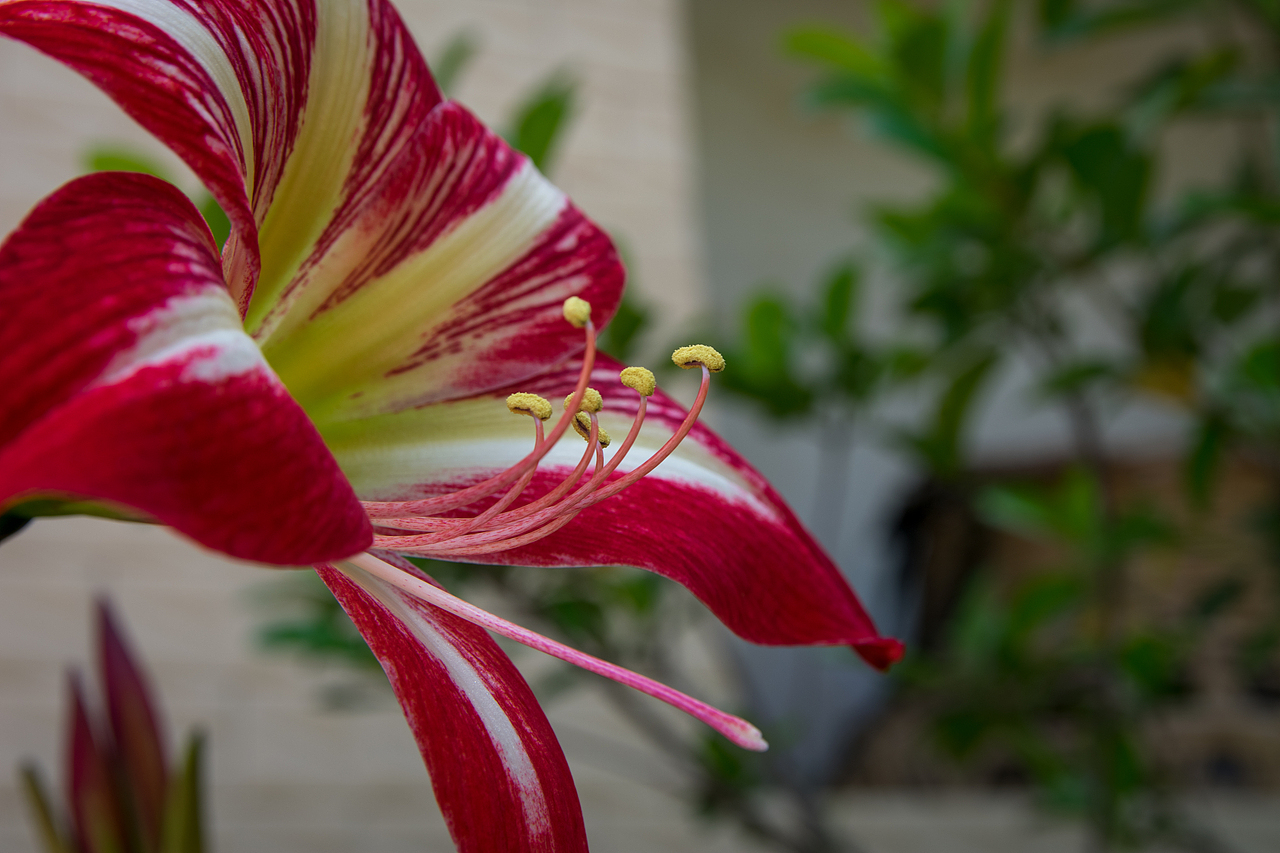 但是细看却别有一番风味在~