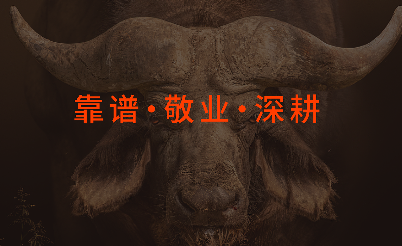 黔味预制菜包装（图ZMzY0MzM1NzQw） - 包装 - 站酷设计师广西如鱼设计原创素材 - 站酷ZCOOL