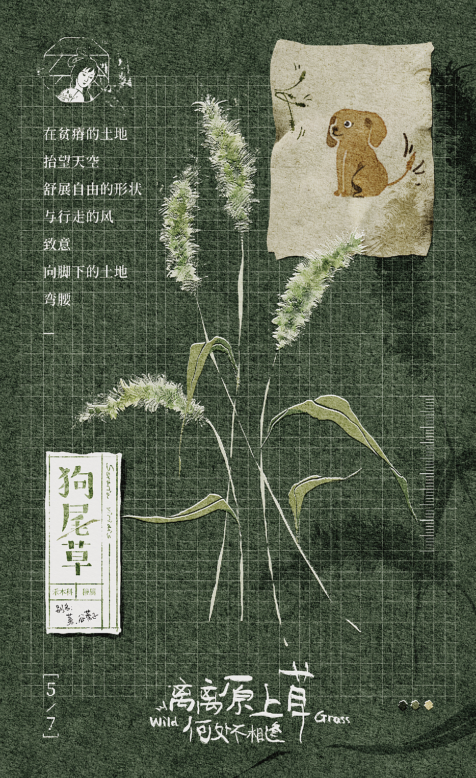 视觉设计:离离原上草 - 茶颜悦色