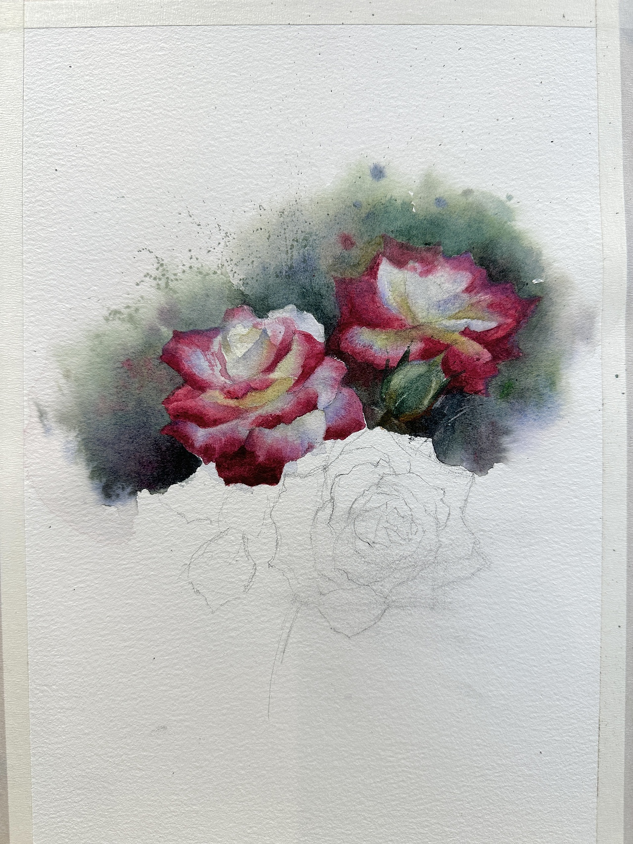 夏宇航水彩画教学示范《双生玫瑰》