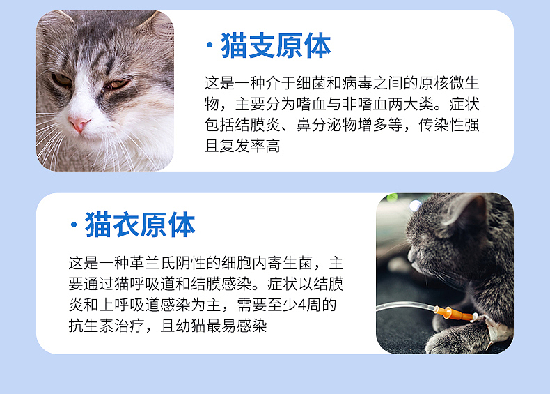 潘道生物 宠物检测产品 | 猫呼吸道4项核酸检测