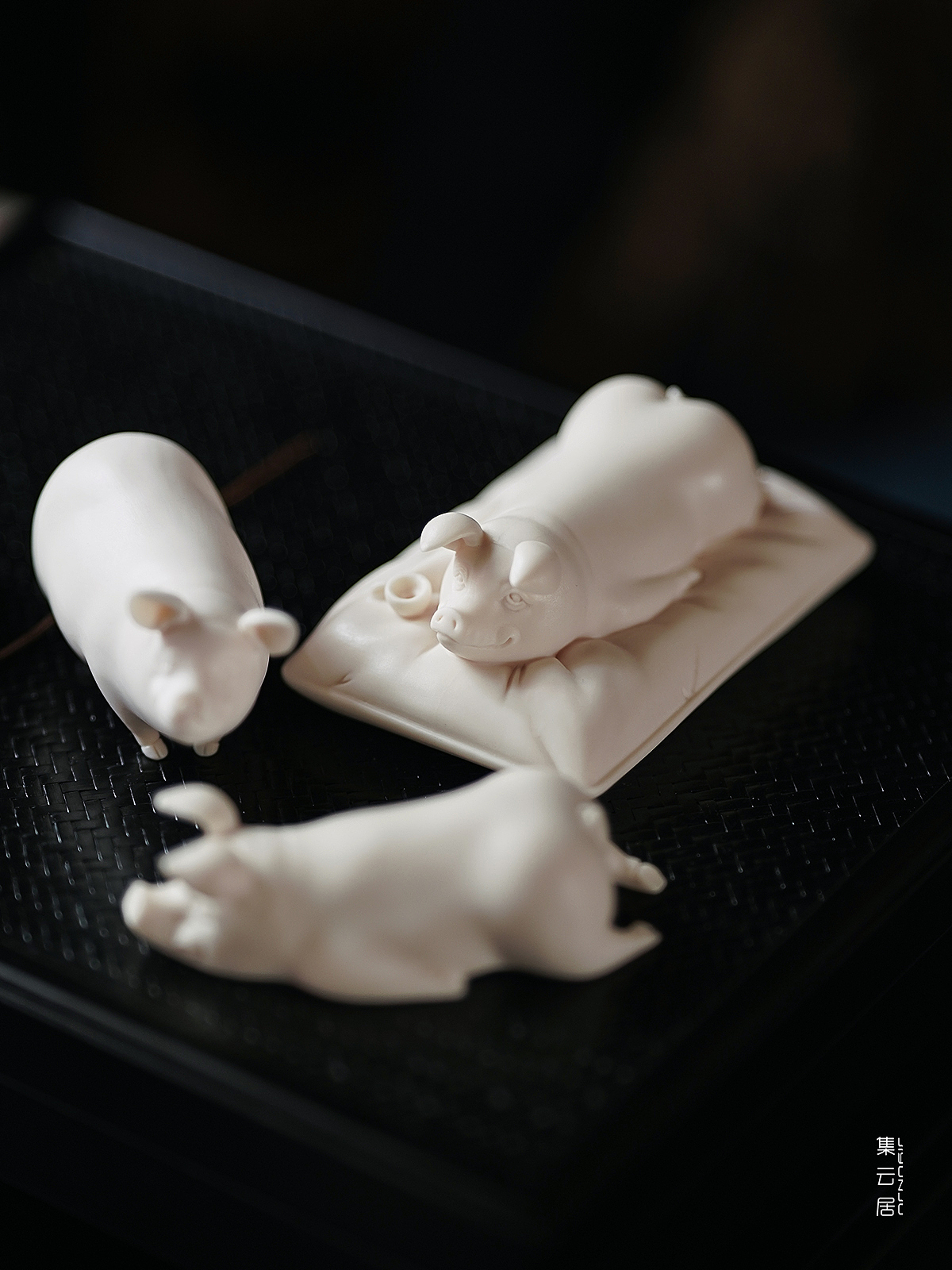 中国白·猪猪请趴好