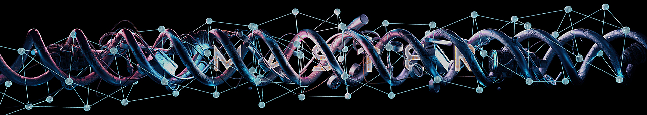 2022酒吧loop循环视频素材合辑