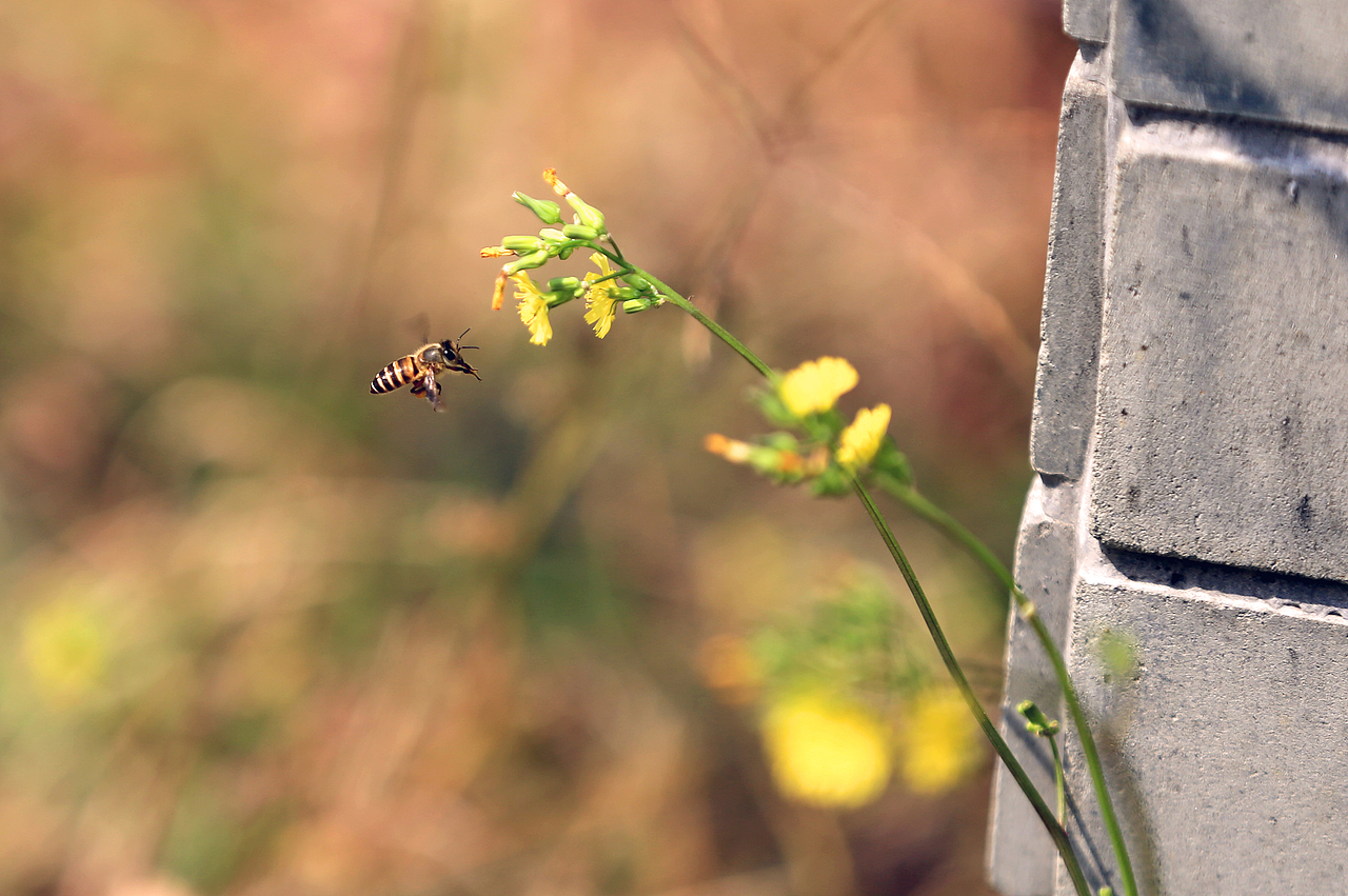 仙姑风景区随记（图ZMzMzMzM3MTY4） - 风光摄影 - 站酷设计师愚者猫叔原创素材 - 站酷ZCOOL