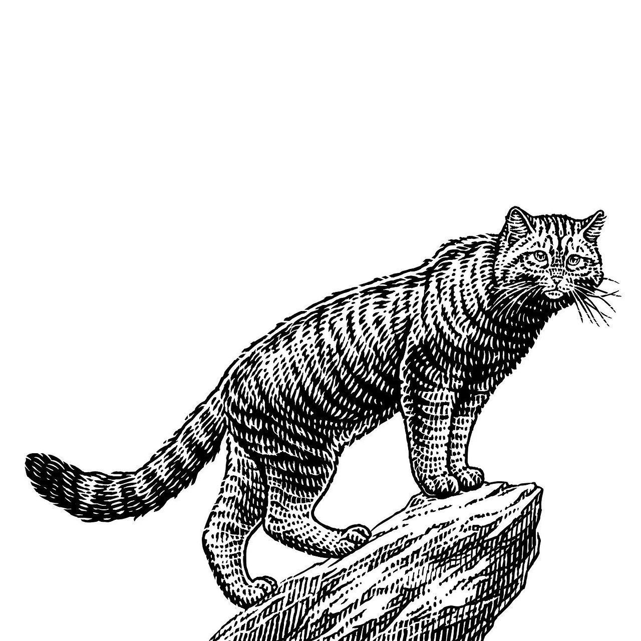 手繪（圖ZMzM0ODk3NDMy） - 創(chuàng)作習(xí)作 - 站酷設(shè)計(jì)師美高創(chuàng)意設(shè)計(jì)原創(chuàng)素材 - 站酷ZCOOL