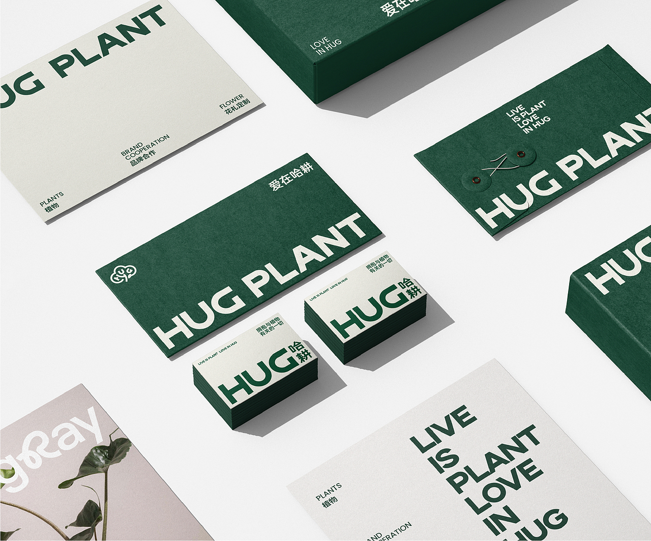 哈耕植物-品牌全案设计