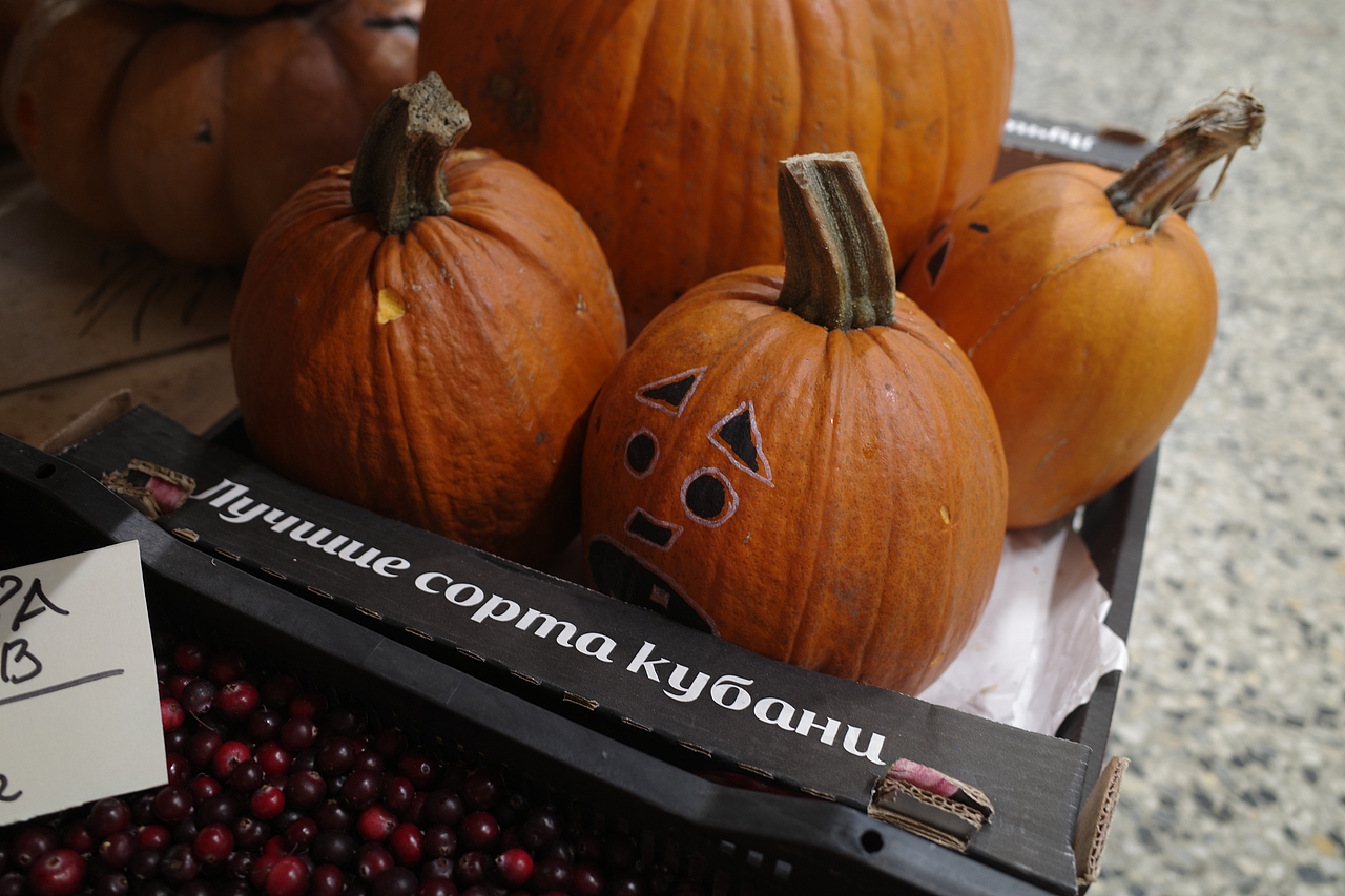 封存一段十一月关于的俄罗斯回忆