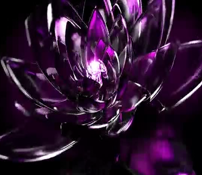 线上-兰利爽#创作加油站#