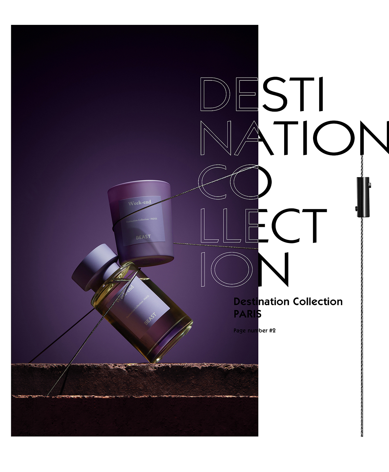 香氛摄影丨野兽派