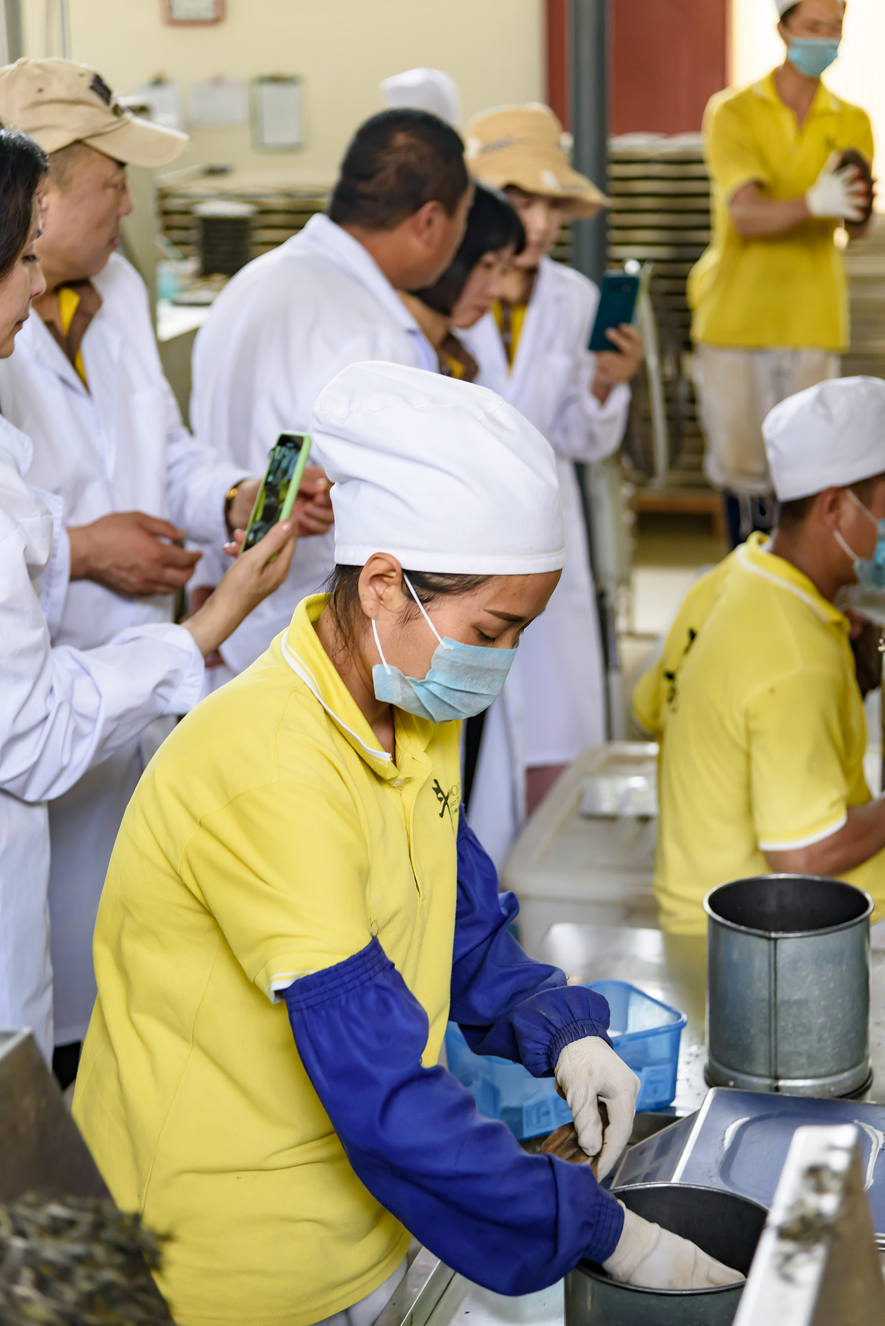 2019云南西双版纳茶之旅