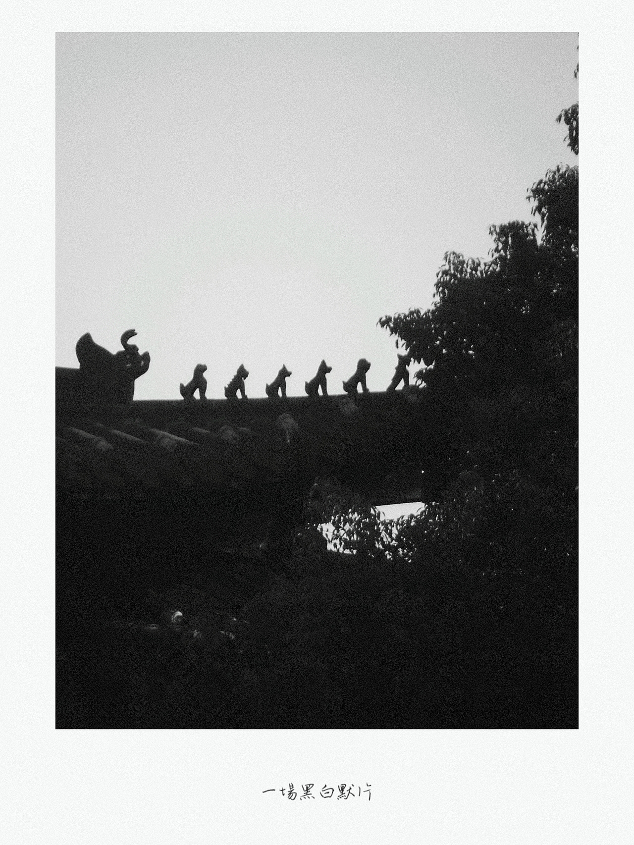 2022最後一場黑白默片