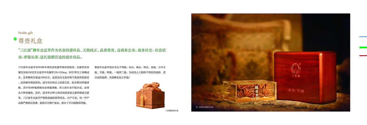 冬虫夏草产品手册排版