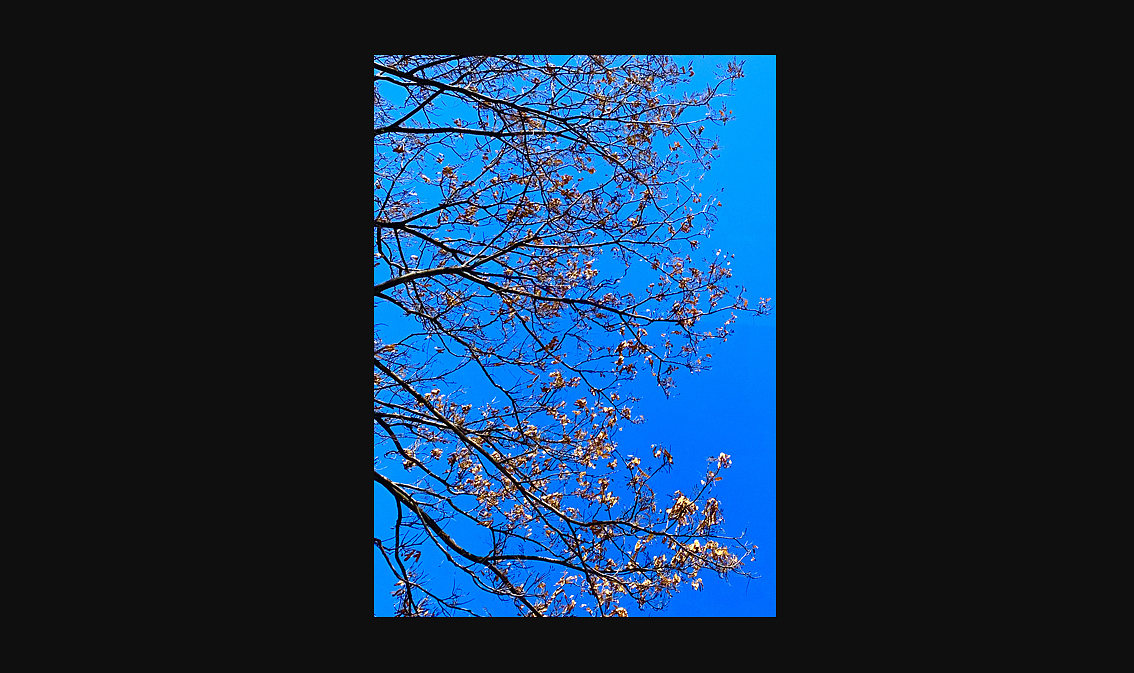 2022-2023手机摄影(部分)