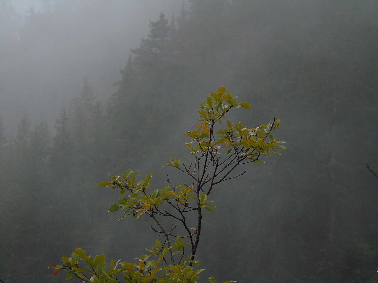 山中的民俗建筑