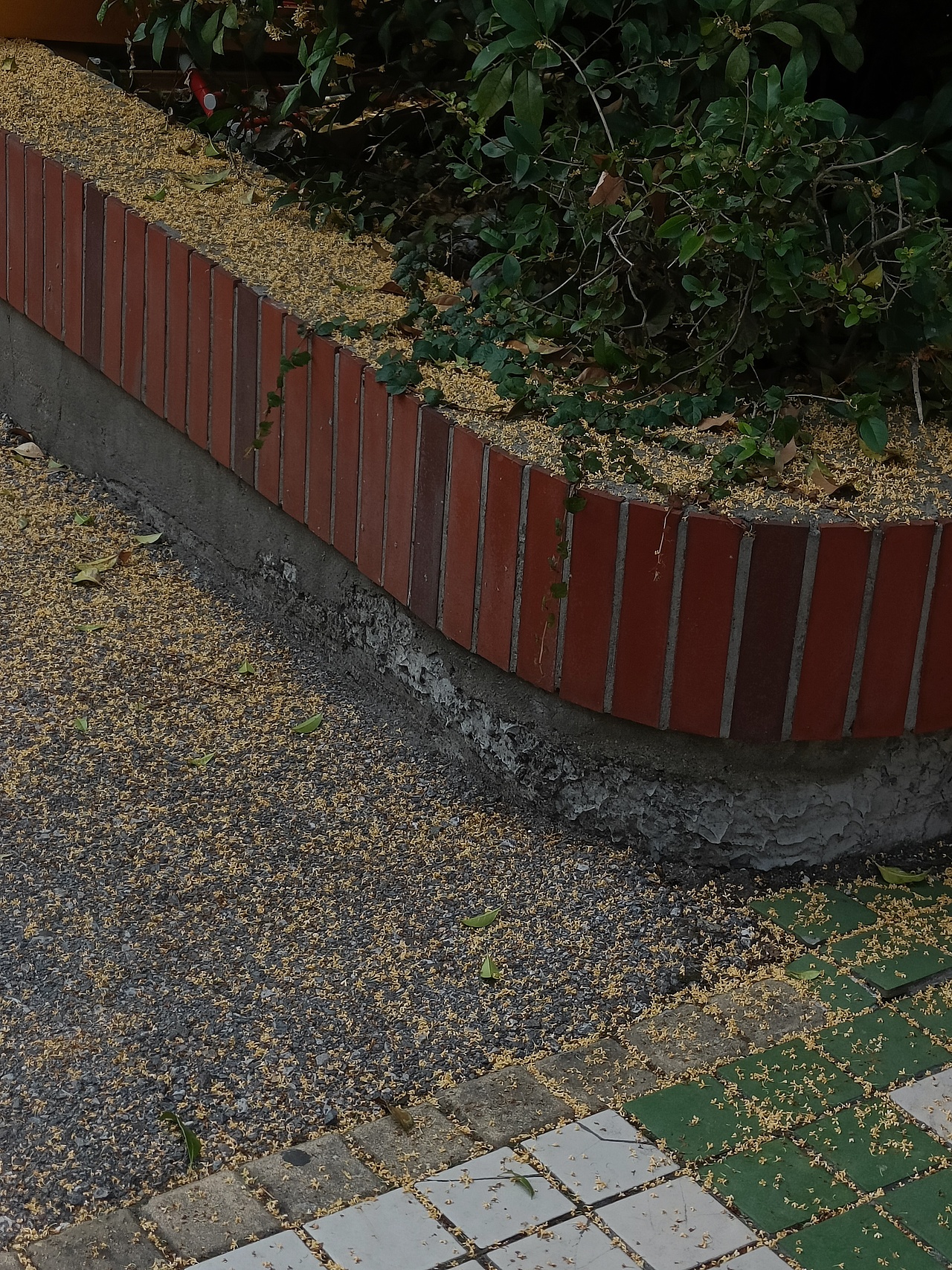 一葉知秋（圖ZMzUyNTA3MzEy） - 風光攝影 - 站酷設計師Alysoooooooooon原創(chuàng)素材 - 站酷ZCOOL