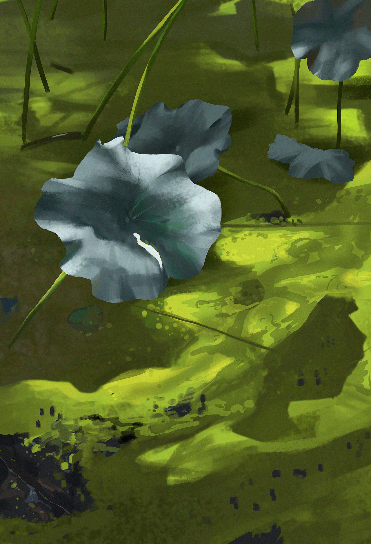 色彩挑战60天--部分