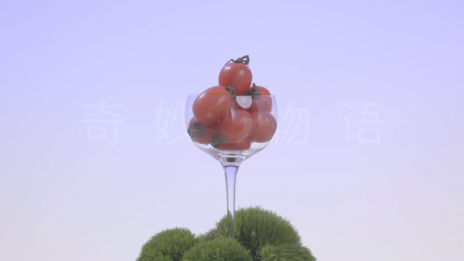 实验艺术短片|奇妙物语