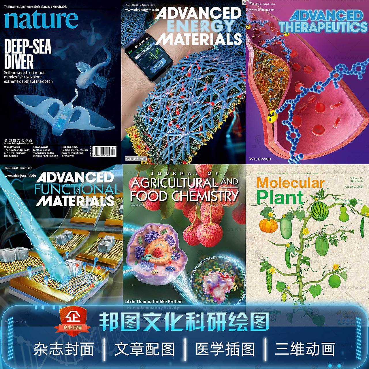 SCI期刊封面设计作品（图ZMzA4MzIxOTY4） - 产品 - 站酷设计师邦图文化原创素材 - 站酷ZCOOL