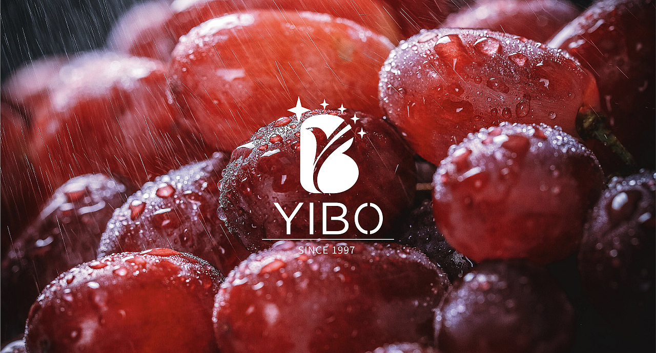 【翼博YIBO】水果品牌设计