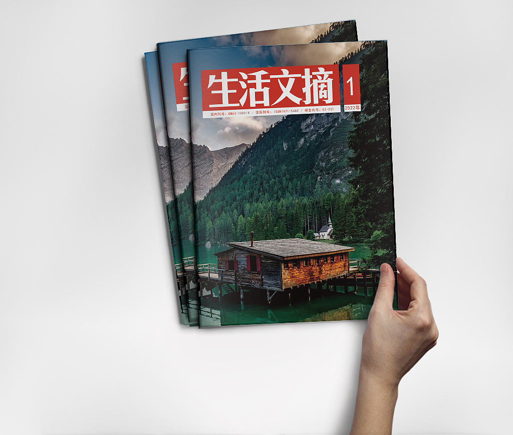 杂志封面（图ZMzEwMTcwNzky） - 书籍/画册 - 站酷设计师yatou0420原创素材 - 站酷ZCOOL