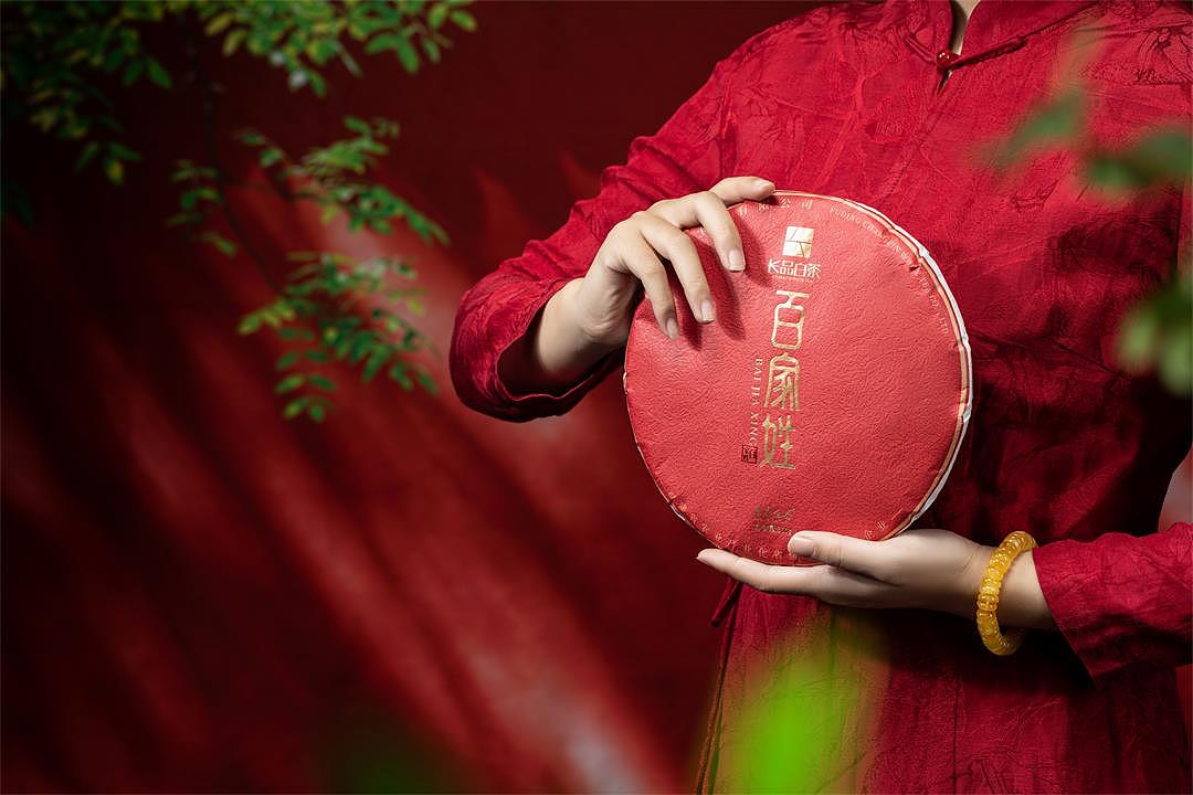 百家姓——福鼎白茶产品拍摄