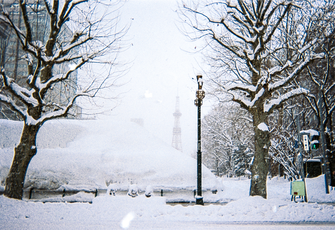 一些雪国札幌的瞬间