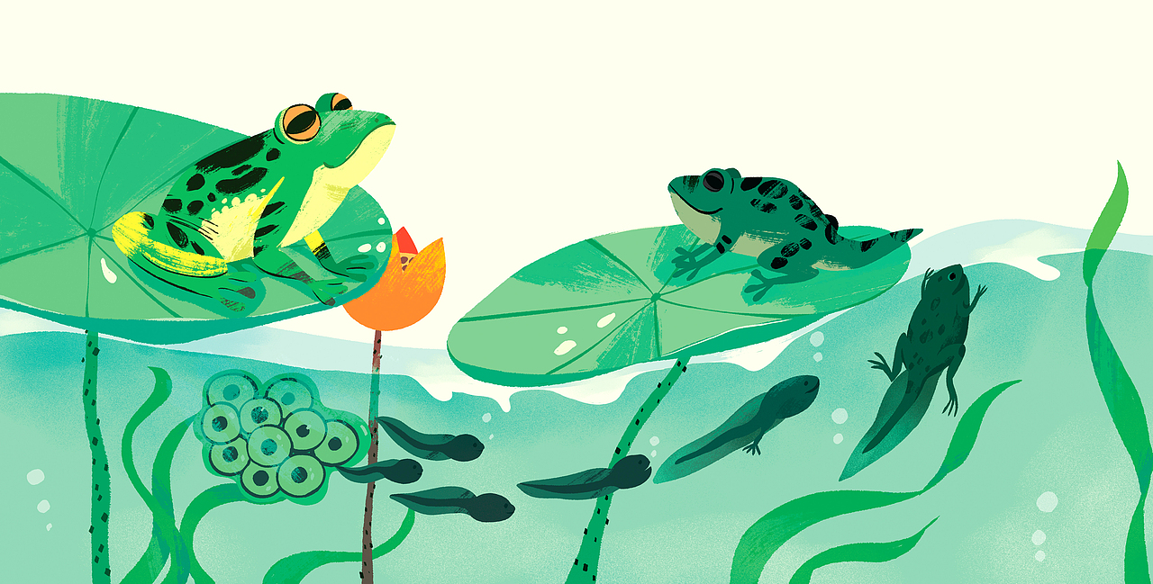 科普绘本《尾巴、尾巴》