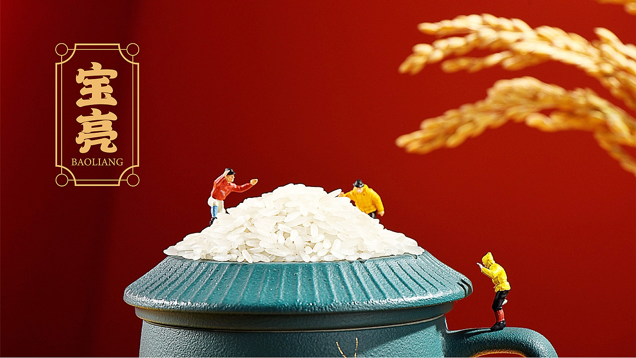 宝亮大米品牌全案x一棵树|大米包装设计|IP设计