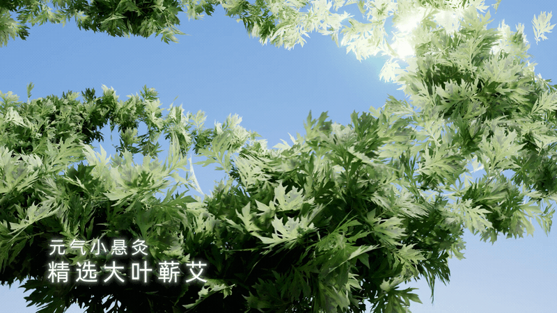 元气达人 | 七日微烟小悬灸（图ZMzMzODAxMzQ4） - 动画/影视 - 站酷设计师VastSky长空原创素材 - 站酷ZCOOL