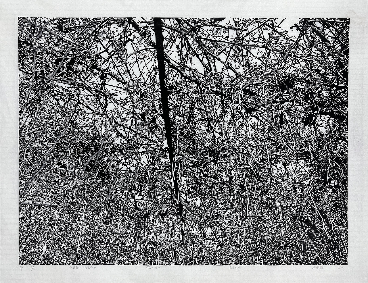 梁鹏鹏作品集展示