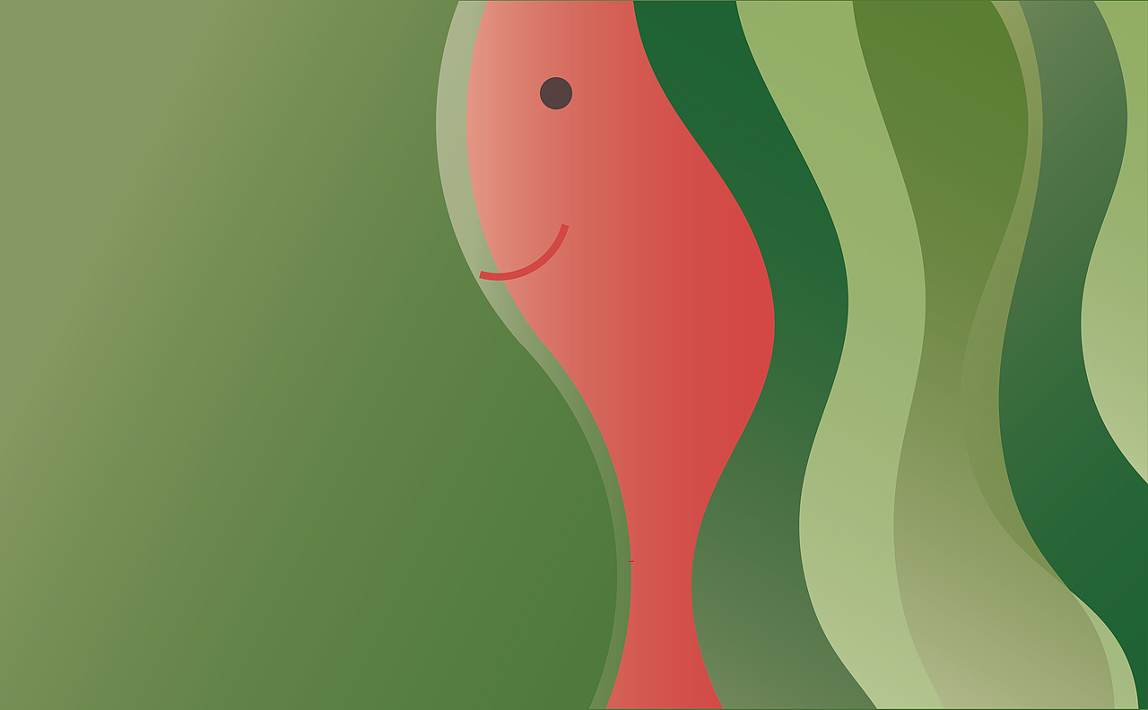 水果饮料插画设计-气泡果酒包装