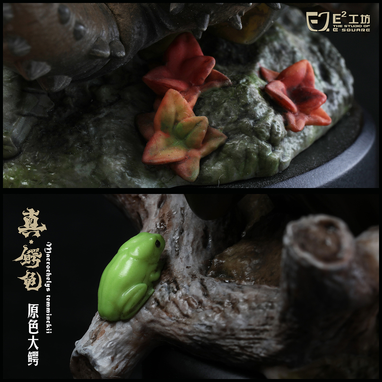 2023鳄龟系列--真鳄龟