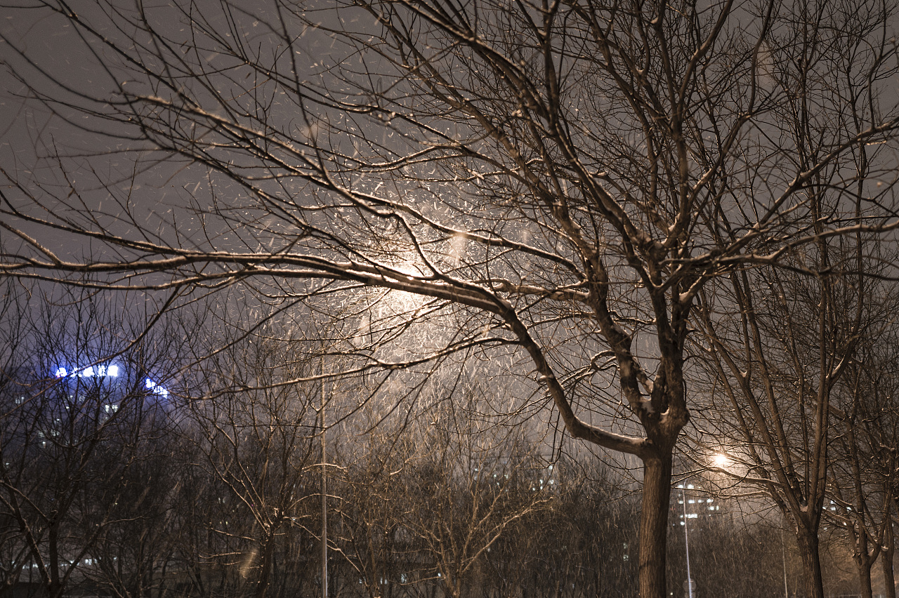 摄影 大雪纷飞的北京
