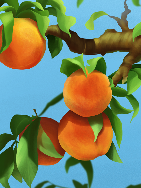 Day1-质感插画练习