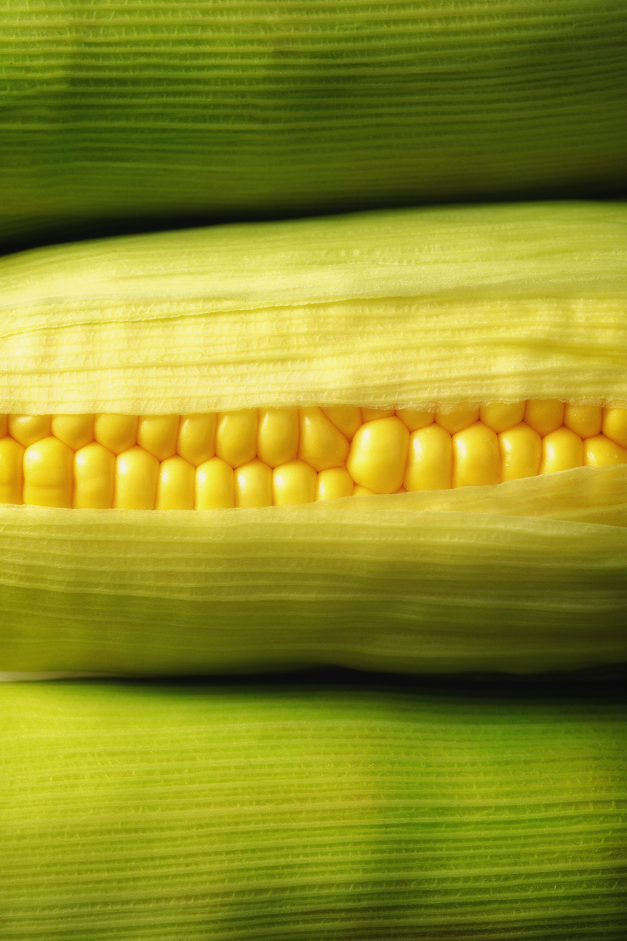 美食摄影| 南方人只爱甜玉米? 糯玉米达咩