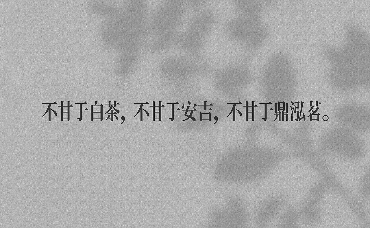 橙就创意 | 鼎泓茗茶业-品牌策划/品牌定位/VI设计