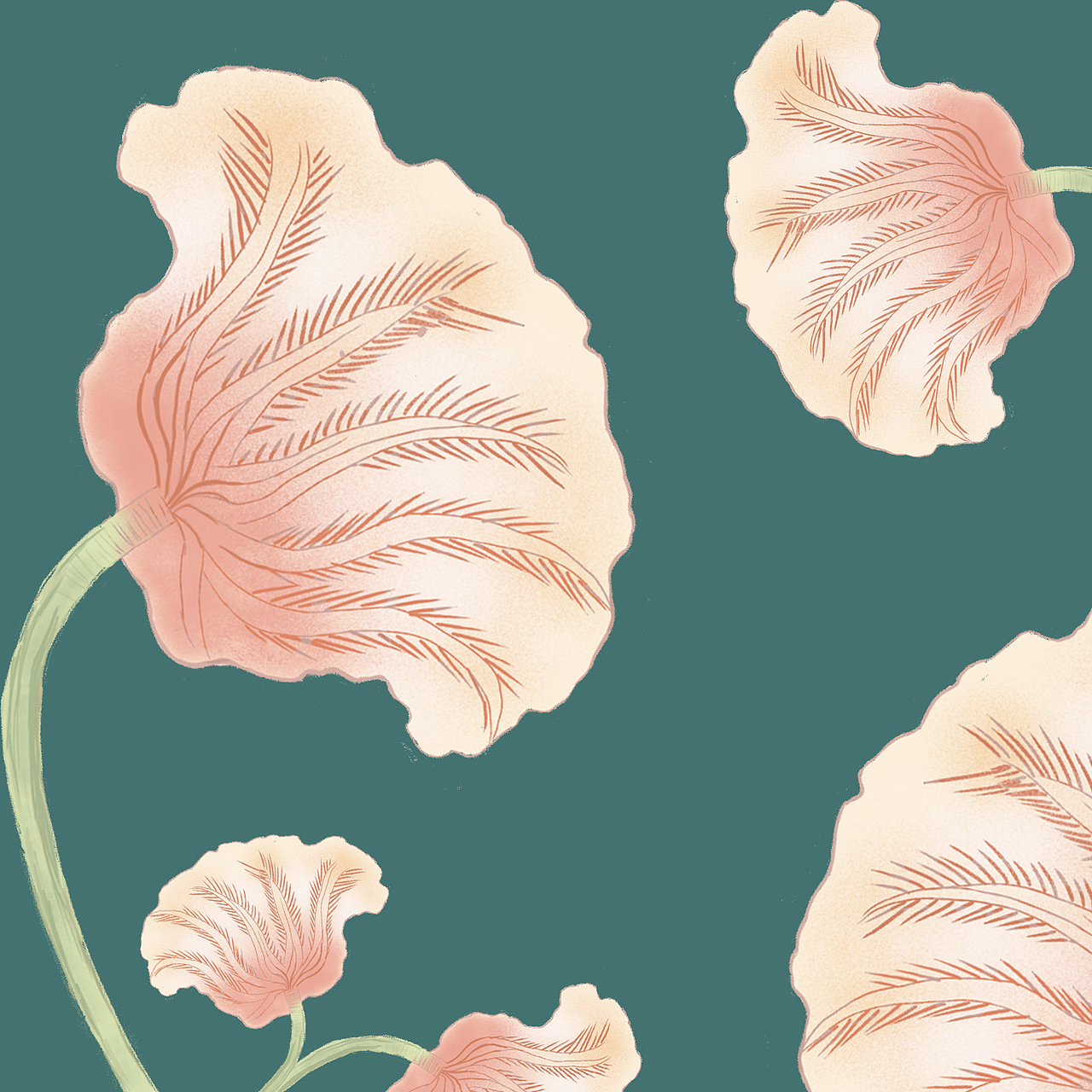 曲靖博物馆海百合文创设计