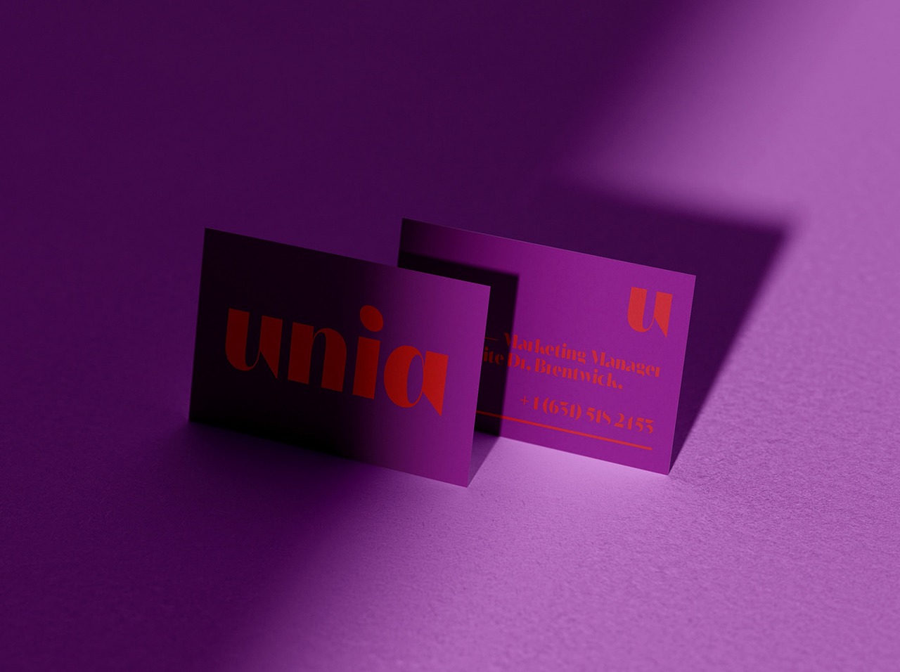 unia 品牌视觉设计